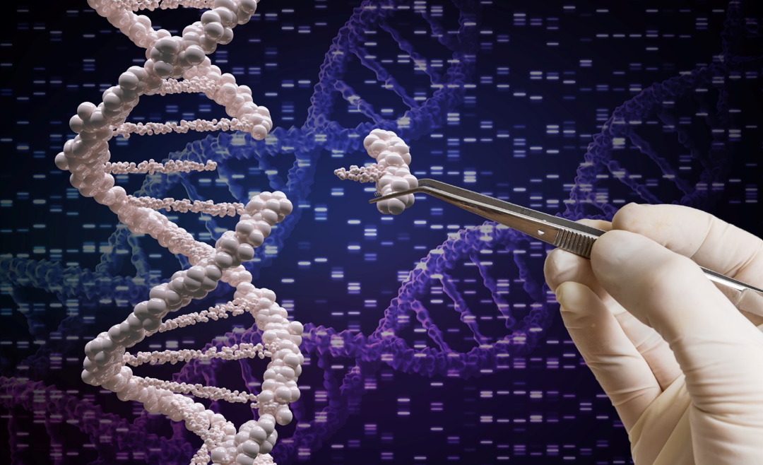 چگونه ویرایش ژن مشکل کمبود کلسترول را حل می‌کند؟